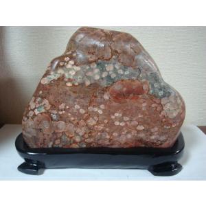 越前紋石20 : 白山紋石庵 - 通販 - Yahoo!ショッピング