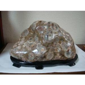 白山紋石庵 - Yahoo!ショッピング