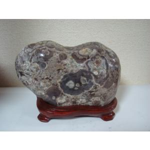 白山菊紋石26 : 白山紋石庵 - 通販 - Yahoo!ショッピング