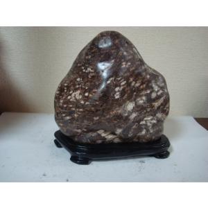 白山菊紋石26 : 白山紋石庵 - 通販 - Yahoo!ショッピング