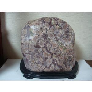【天然石】菊紋石　白山紋石　梅花石　赤梅　専用木製台付き Amazon.co.jp: 大型 22.8kg 梅花石 鑑賞石 花紋石 菊花石 水石