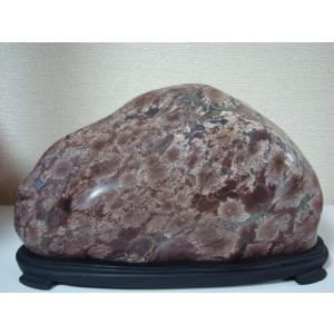 越前紋石28 : 白山紋石庵 - 通販 - Yahoo!ショッピング