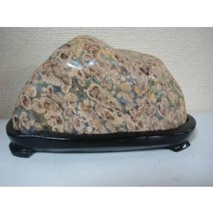 白山菊紋石26 : 白山紋石庵 - 通販 - Yahoo!ショッピング