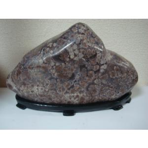 白山菊紋石26 : 白山紋石庵 - 通販 - Yahoo!ショッピング