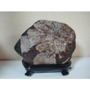 根尾谷産菊花石99 : 白山紋石庵 - 通販 - Yahoo!ショッピング