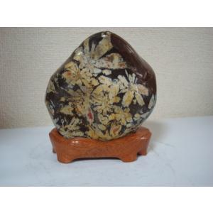 根尾谷産菊花石99 : 白山紋石庵 - 通販 - Yahoo!ショッピング