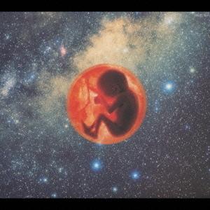 CD the HIATUS / A World Of Pandemonium : 博信堂ヤフー店 - 通販