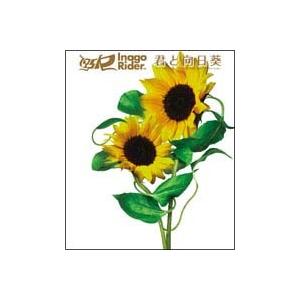 CD  175R / 君と向日葵