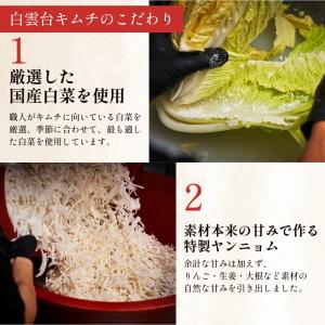 夏ギフト 旨辛 韓国 白菜キムチ 大根キムチ ...の詳細画像2