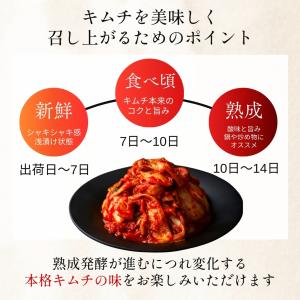 夏ギフト 旨辛 韓国 白菜キムチ 大根キムチ ...の詳細画像4