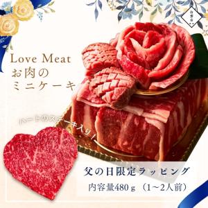 焼肉セット 焼肉 お肉 ギフト 父の日 プレゼント LeveMeat ミニケーキ 母の日限定 480g 焼肉 贈答用 誕生日プレゼント 大阪 鶴橋 焼肉白雲台