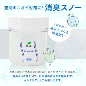 消臭スノー600g専用キット| 無臭 無香料 ...の詳細画像2