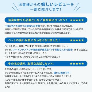 消臭剤 お試し5点セット | 無臭 無香料 消...の詳細画像4