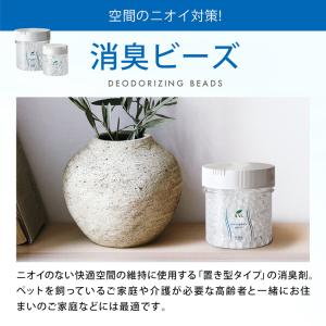 消臭剤 お試し5点セット | 無臭 無香料 消...の詳細画像5