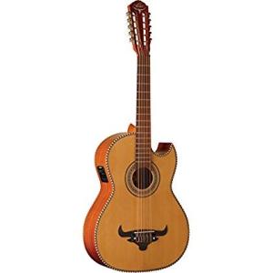 Oscar Schmidt 10 String Acoustic Guitar, Right (OH...