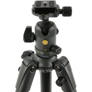 Vanguard VEO 2 265AB Aluminum Travel Tripod with VEO 2 BH-50 Ball Head