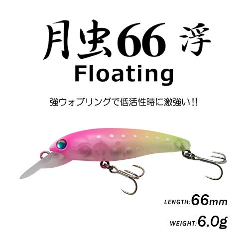 月虫66 浮