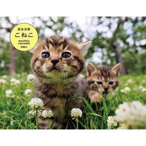 岩合光昭 手帳の商品一覧 通販 Yahoo ショッピング