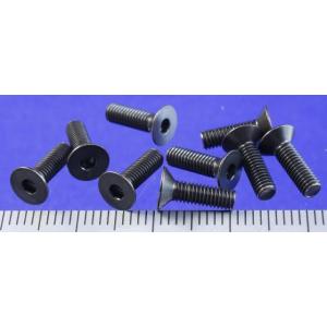 TOBEE CRAFT (トビークラフト)  カラーキャップビス サラ M3X10