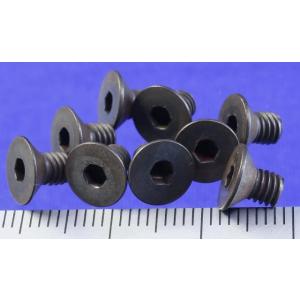 TOBEE CRAFT (トビークラフト)  カラーキャップビス サラ M4X6