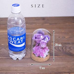 手のひらサイズの プリザーブドフラワー ドーム...の詳細画像4