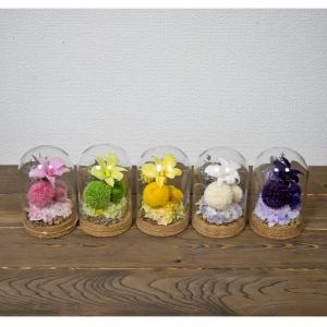 プリザーブドフラワー ミニドーム 小型サイズ ...の詳細画像2