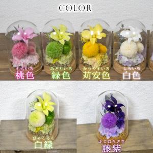 プリザーブドフラワー ミニドーム 小型サイズ ...の詳細画像3