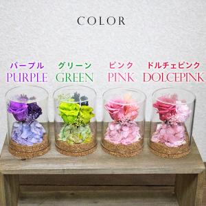 【2〜3個で送料無料】 小さな瓶にプリザーブド...の詳細画像4