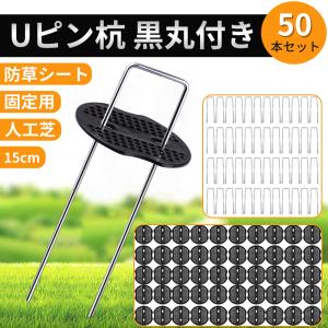 Uピン杭　黒丸付き　防草シート　固定用　人工芝　ピン　おさえピン　U字釘