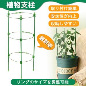 観葉植物 支柱の商品一覧 通販 Yahoo ショッピング