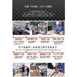 【送料無料】鹿児島 ひだかつけあげ 御詰合せ ...の詳細画像1