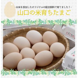 【送料無料】山口の米育ちたまご 30個 30玉...の詳細画像1