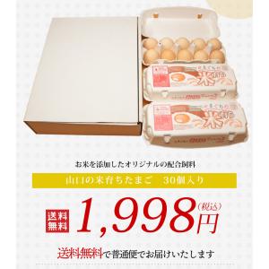 【送料無料】山口の米育ちたまご 30個 30玉...の詳細画像3