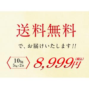 無洗米 北海道産ゆめぴりか10kg (5kg×...の詳細画像5