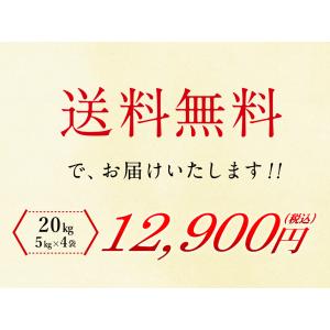 【ポイント7倍】新米 令和8年 無洗米 北海道...の詳細画像5