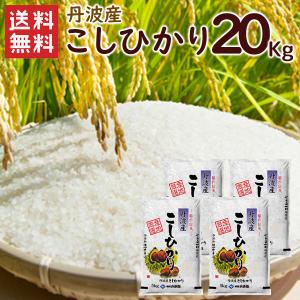 特別栽培 丹波産(兵庫県)コシヒカリ30kg（5kg×6袋） 送料無料 令和7