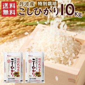 特別栽培  丹波産（兵庫県）コシヒカリ10kg（5kg×2袋）/ 送料無料 令和5年産 特別栽培  精米 お米 （北海道・沖縄別途送料）（配達日・時間指定は不可）｜halloday