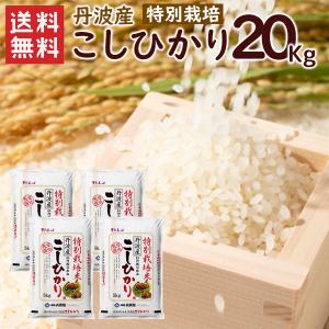 特別栽培 丹波産(兵庫県)コシヒカリ30kg（5kg×6袋） 送料無料 令和7