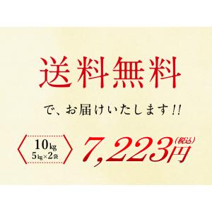 無洗米 国産匠の一粒 10kg (5kg×2袋...の詳細画像5