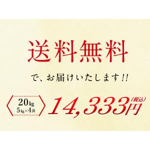 無洗米 国産匠の一粒 20kg(5kg×4袋)...の詳細画像5