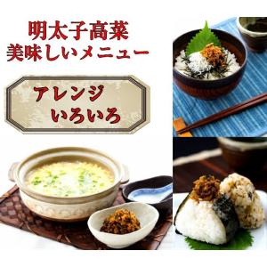 メール便送料無料 オギハラ食品 明太子高菜 8...の詳細画像4