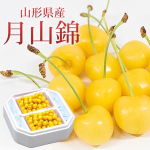 送料無料　ネット限定販売 山形県 月山錦パック　600ｇ（300ｇ×２パック）秀品 L以上　バラ詰め / 【6月10日以降順次発送】｜halloday