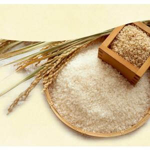 無洗米 国産匠の一粒 30kg(5kg×6袋)...の詳細画像3