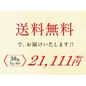 無洗米 国産匠の一粒 30kg(5kg×6袋)...の詳細画像5