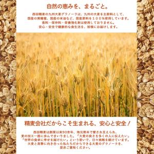 西田精麦 九州大麦グラノーラ(12袋入) 送料...の詳細画像2