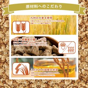 西田精麦 九州大麦グラノーラ(12袋入) 送料...の詳細画像3