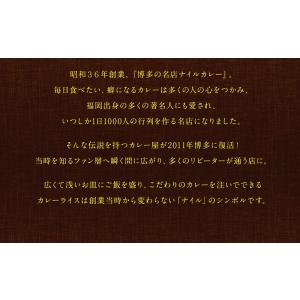 博多の名店ナイル 冷凍カレー6袋セット 送料無...の詳細画像2