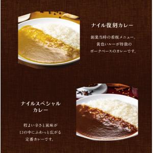 博多の名店ナイル 冷凍カレー6袋セット 送料無...の詳細画像4