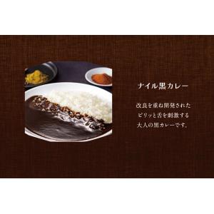 博多の名店ナイル 冷凍カレー6袋セット 送料無...の詳細画像5