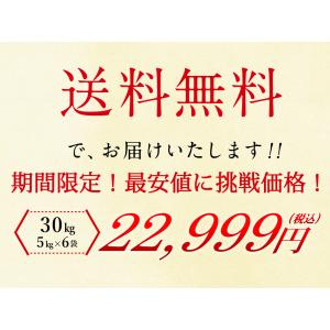 【88名様限定!特別価格】無洗米 北海道産ゆめ...の詳細画像5